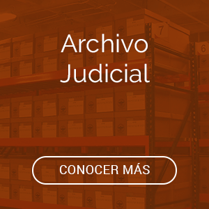 Visitar Micrositio de Archivo Judicial