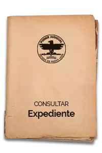 Diligencia de denuncio y posesión de mina