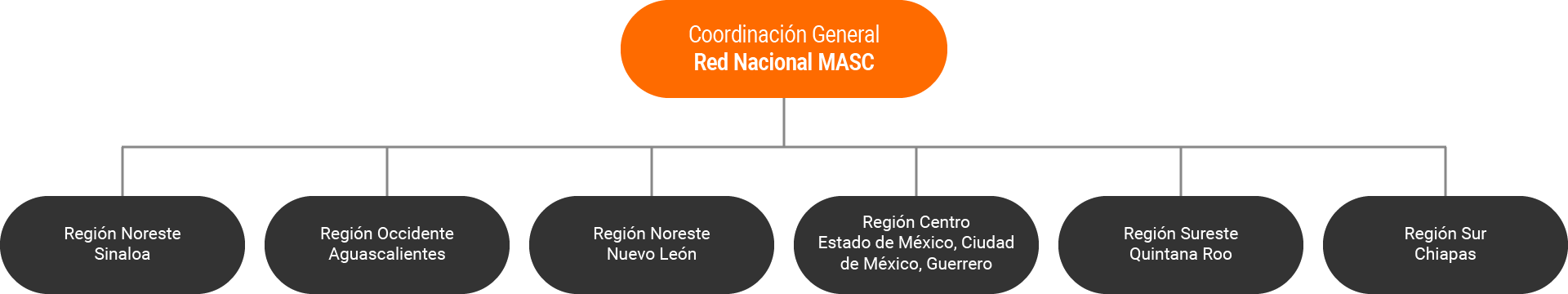 Organigrama Red Nacional MASC