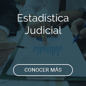 Visitar Micrositio de Estadística Judicial